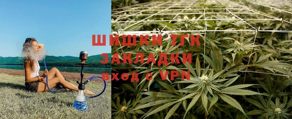 Альфа ПВП Бугульма