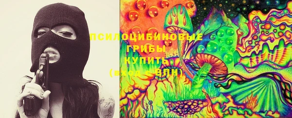 Альфа ПВП Бугульма