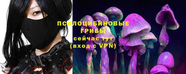 Альфа ПВП Бугульма