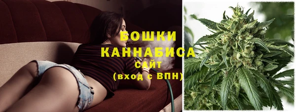 Альфа ПВП Бугульма