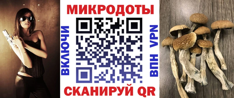 Псилоцибиновые грибы MAGIC MUSHROOMS  Колпашево 